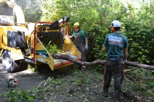 tree services Auburn Lake Trails